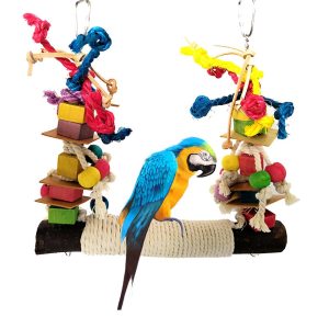 Colorful Parrot Bite Toy with Wooden Perch and Big Swing